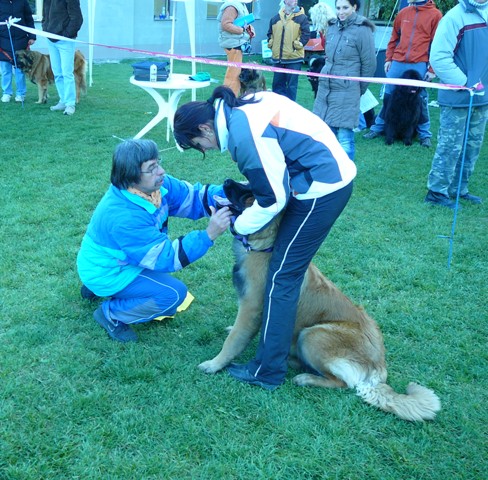 prohlídka zubů.JPG